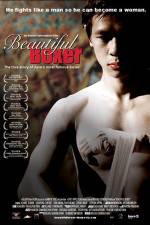 Watch Beautiful Boxer Movie2k