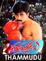 Watch Thammudu Movie2k