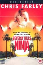 Watch Beverly Hills Ninja Movie2k