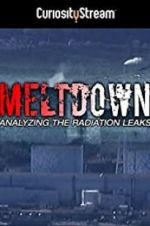 Watch Meltdown: Analyzing the Radiation Leaks Movie2k