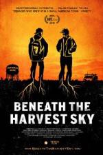 Watch Beneath the Harvest Sky Movie2k