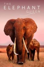 Watch The Elephant Queen Movie2k