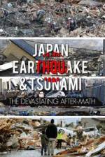 Watch Japan Aftermath of a Disaster Movie2k