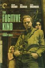 Watch The Fugitive Kind Movie2k