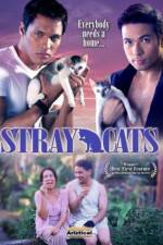 Watch Stray Cats Movie2k