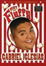 Watch Gabriel Iglesias: Hot and Fluffy Movie2k