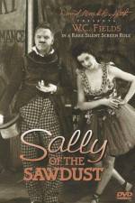 Watch Sally of the Sawdust Movie2k