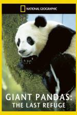 Watch National Geographic Giant Pandas The Last Refuge Movie2k