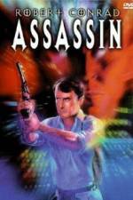 Watch Assassin Movie2k