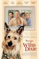 Watch Because of Winn-Dixie Movie2k