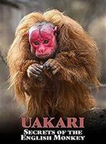 Watch Uakari: Secrets of the English Monkey Movie2k