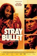 Watch Stray Bullet Movie2k