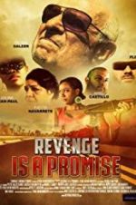 Watch Revenge Is a Promise Movie2k