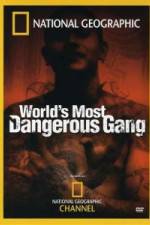 Watch National Geographic World's Most Dangerous Gang Movie2k