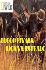 Watch National Geographic - Blood Rivals: Lion vs. Buffalo Movie2k