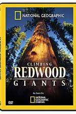 Watch National Geographic Explorer: Climbing Redwood Giants Movie2k