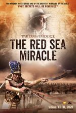 Watch Patterns of Evidence: The Red Sea Miracle Movie2k