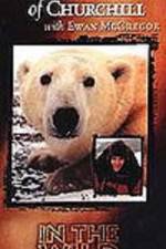 Watch The Polar Bears of Churchill with Ewan McGregor Movie2k