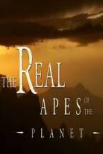 Watch The Real Apes of the Planet Movie2k