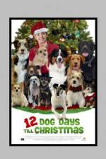 Watch 12 Dog Days of Christmas Movie2k