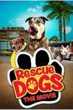 Watch Rescue Dogs Movie2k