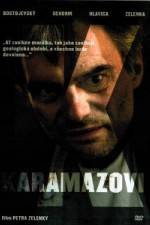 Watch The Karamazov Brothers Movie2k