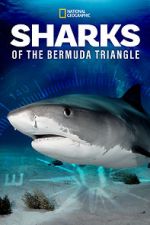 Watch Sharks of the Bermuda Triangle (TV Special 2020) Movie2k
