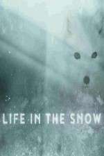 Watch Life in the Snow Movie2k