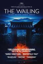 Watch The Wailing Movie2k