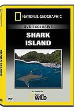 Watch National Geographic: Shark Island Movie2k