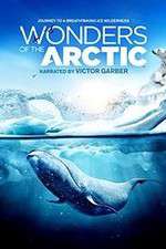 Watch Wonders of the Arctic 3D Movie2k