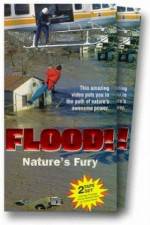 Watch Flood Movie2k