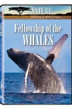 Watch Fellowship Of The Whales Movie2k