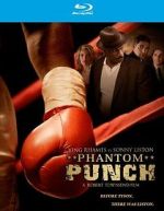 Watch Phantom Punch Movie2k