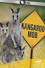 Watch Kangaroo Mob Movie2k