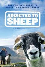 Watch Addicted to Sheep Movie2k