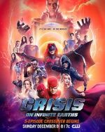 Watch Crisis on Infinite Earths Movie2k