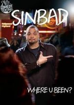 Watch Sinbad: Where U Been? Movie2k