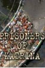 Watch Prisoners of Katrina Movie2k