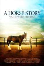 Watch A Horse Story Movie2k