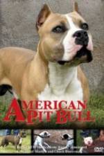 Watch American Pit Bull Movie2k