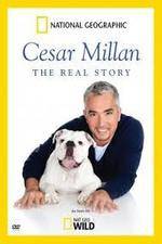 Watch Cesar Millan: The Real Story Movie2k