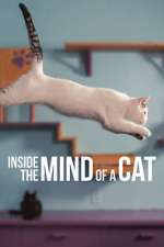 Watch Inside the Mind of a Cat Movie2k