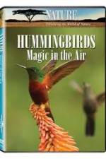 Watch Hummingbirds Magic in the Air Movie2k