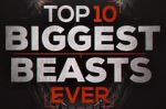 Watch Top 10 Biggest Beasts Ever Movie2k