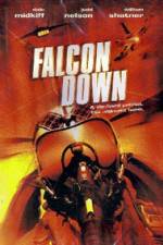 Watch Falcon Down Movie2k