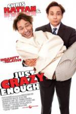 Watch Just Crazy Enough Movie2k