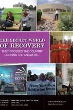 Watch The Secret World of Recovery Movie2k