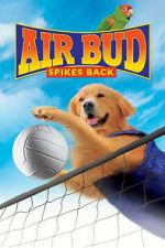 Watch Air Bud: Spikes Back Movie2k