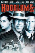 Watch Hoodlum & Son Movie2k